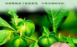 冰粉籽哪里