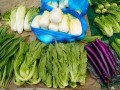 小区卖菜怎么样,蔬菜零售怎么样赚钱