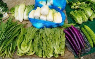 小区卖菜怎么样,蔬菜零售怎么样赚钱
