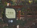 牛奶池在哪里（牛奶池在哪里有卖）