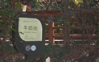牛奶池在哪里（牛奶池在哪里有卖）