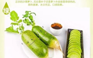 鸭梨哪里最好（白萝卜哪里出产的最好）