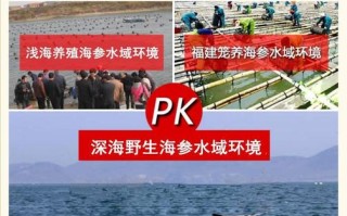 海参产地哪里好（海参产地哪里好?产地大揭秘）
