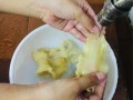 鱼胶洗哪里（花胶清洗方法）