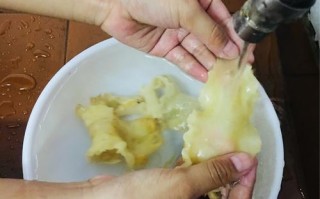 鱼胶洗哪里（花胶清洗方法）