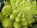 宝塔花椰菜好吃吗,宝塔花菜哪里的好