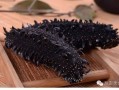 全球哪里海参最好（世界上哪里的海参最好）