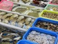 广州市南沙区有什么好吃的,南沙哪里东西好吃又便宜