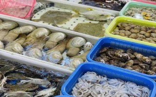 广州市南沙区有什么好吃的,南沙哪里东西好吃又便宜