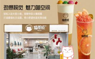 猫茶加盟怎么样（猫喝茶会怎样）