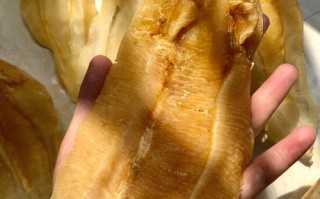 花胶哪里能买到正品,花胶哪里有卖的