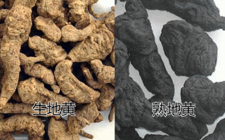生地是哪里（生地是哪里产的）