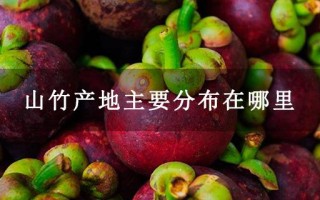 山竹哪里（山竹哪里盛产）