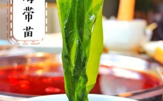 哪里海带最好（哪里海带最好吃最出名）