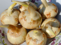 茨菇在湖南平江叫什么,慈姑哪里的特产好吃