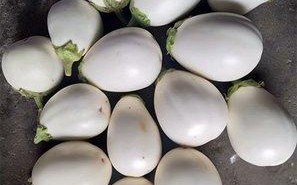 白茄子哪里产的（白茄子是什么）