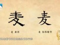 小麦麦在哪里（麦子麦偏旁是什么）