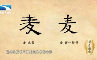 小麦麦在哪里（麦子麦偏旁是什么）