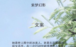 芊芊SO奶茶怎么样（有没有什么好看的小说，要完结的，穿越，女强，女主前世是杀手，黑道之类的，而且性格冷冰冰）