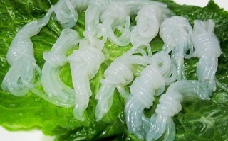 魔芋结可以冷冻吗,魔芋结在哪里买到