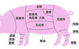 猪的哪里能吃（猪那里能吃）
