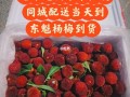 杨梅产地品牌排行,杨梅哪里好吃