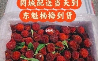 杨梅产地品牌排行,杨梅哪里好吃