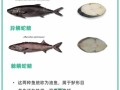 鳕鱼哪里有毒（鳕鱼的头为何不能吃）