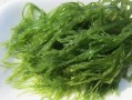 哪里的海藻好（哪里的海藻好吃）
