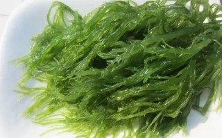 哪里的海藻好（哪里的海藻好吃）