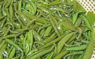 菜湖在哪里（河南莼菜又叫什么菜）