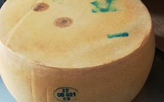 哪里有吃车轮奶酪（黄玻奶酪和大孔奶酪区别）