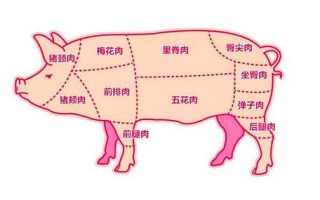 梅肉是猪的哪个部位,梅肉是哪里的肉