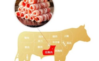 肥牛卷用哪个部位牛肉,肥牛是哪里的肉