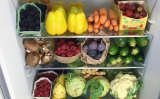 冰箱青菜放哪里（冰箱青菜放哪里保存）