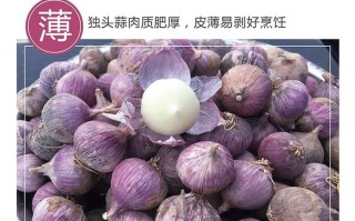 紫皮大蒜哪里的最好,紫皮独蒜哪里的好吃啊