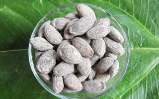 吃瓜子拉不出来大便怎么办,粑粑瓜子哪里有卖的