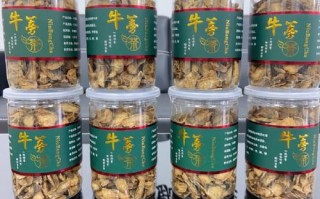 牛蒡茶产自哪里（牛蒡茶产自哪里最多）