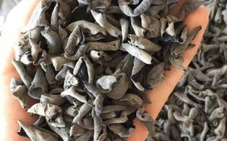 东北哪里的木耳最好（东北哪里的木耳最好吃）