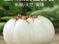 哪里的百合品质最好,哪里百合好吃