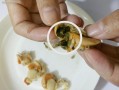 扇贝吃哪里（扇贝吃哪里的肉）