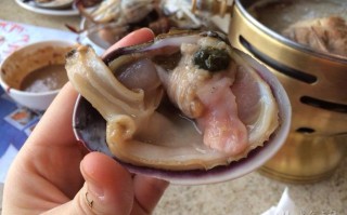 天鹅蛋哪里不能吃（天鹅蛋哪里不能吃图解）