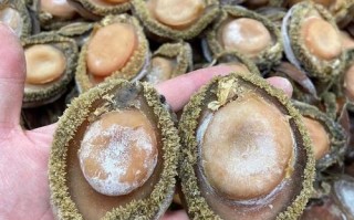 上海干鲍鱼哪里买（上海干鲍鱼餐厅）