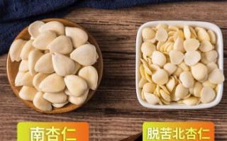 南北杏哪里买（南北杏是哪产的）
