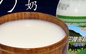 马奶制成的酸奶能喝醉吗,合其客鲜奶怎么样好喝吗