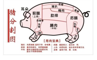 请问猪肉的1#、2#、3#、4#分别是什么部位的肉,猪瘦肉是哪里的肉图片