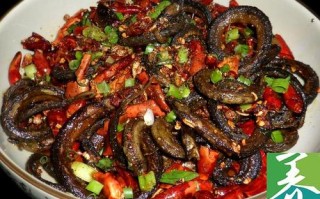 盘龙鳝是哪里特产（盘龙鳝是哪里特产啊）