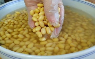 哪里黄豆做豆腐好（做豆腐用哪里的黄豆好）