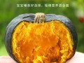 哪里产的南瓜面甜（哪里产的南瓜面甜又好吃）