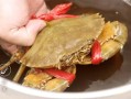 黄油蟹一般几斤,深圳哪里有吃黄油蟹的地方